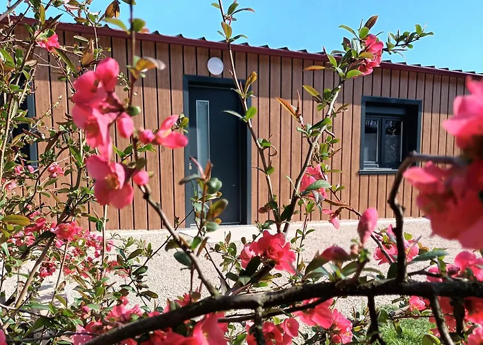 Prázdninový dům La Petite Lorraine